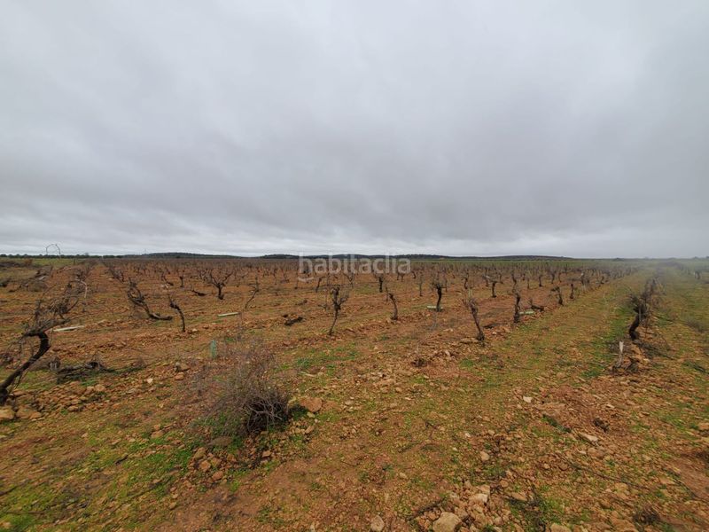 Foto cc242e0d-f478-485d-be7a-7498ce274c1b. Masia a Torralba de Calatrava