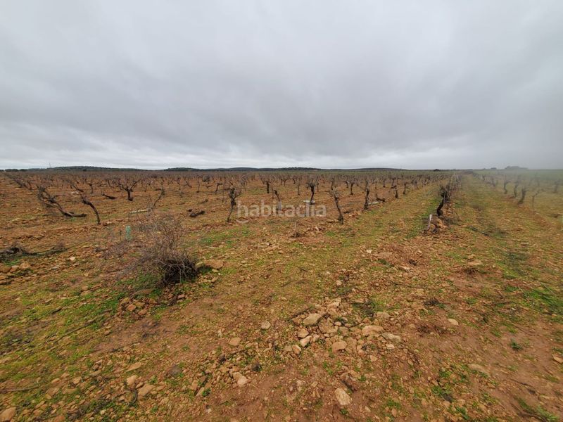 Foto f4f7c530-8c8f-42b8-9e9b-5a4b5c066e45. Masia a Torralba de Calatrava