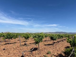 Mas à Malagón. Finca rúst. en venta en malagon.