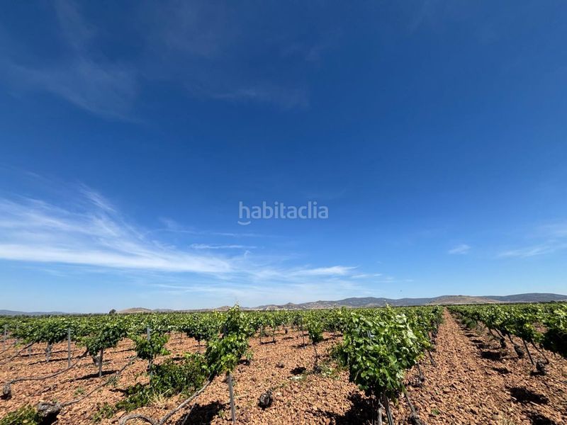 Foto 174ce957-57a6-47f0-b79f-4aa49e1e2f03. Masia a Malagón