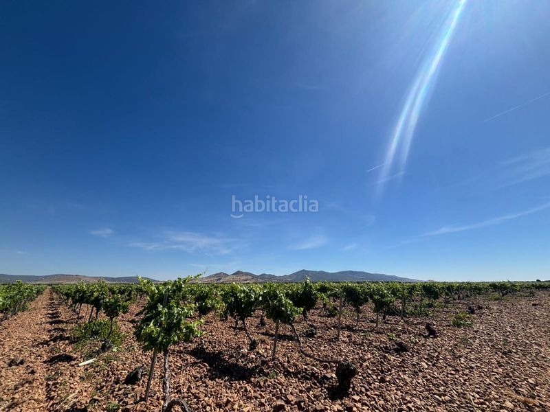 Foto 41358119-9e83-4858-bd09-7826807635d1. Masia a Malagón
