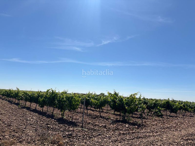 Foto 6a63922c-ab9a-4b1a-8563-1f13481480f3. Masia a Malagón
