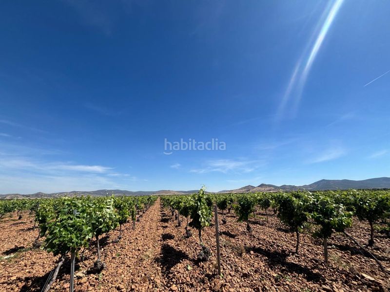 Foto d0ac858a-a4a4-4269-aba2-d08357c25a2e. Masia a Malagón