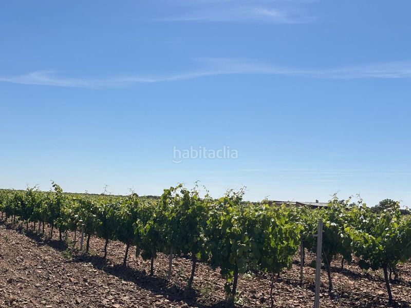Foto e713c67e-c395-4c30-9de8-ee44da84e0bb. Masia a Malagón