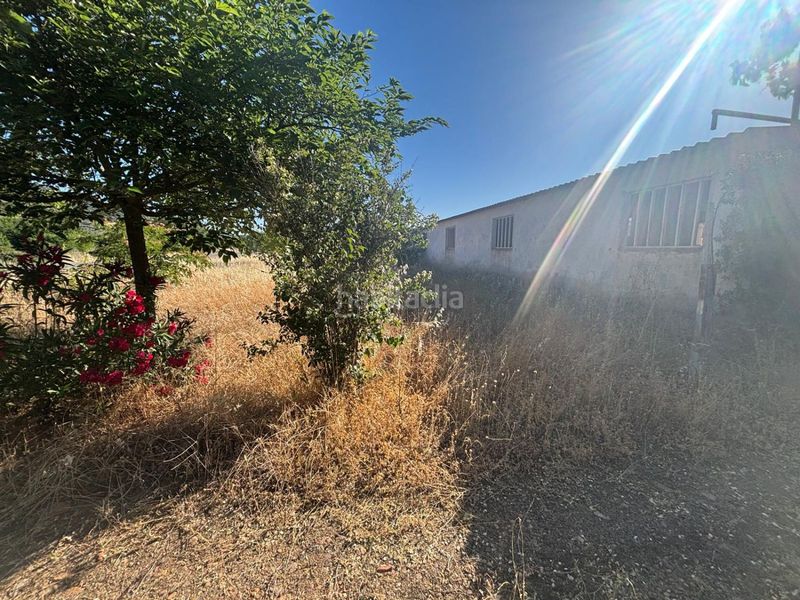 Foto 384a4c4e-e300-4a0a-ba67-a7d264657013. Fabrikhalle in Fuente el Fresno