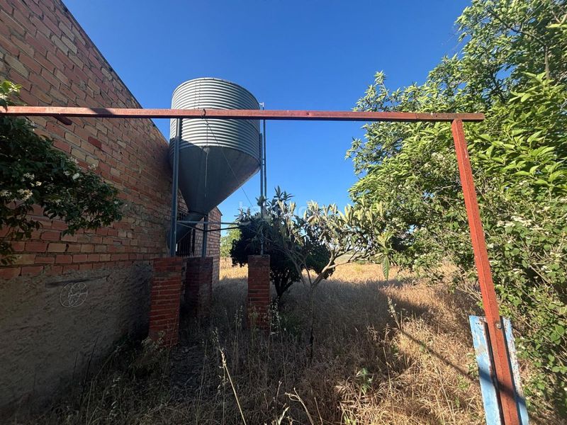 Foto 48bbcb7b-6bea-427b-8ae4-dc387c746729. Fabrikhalle in Fuente el Fresno