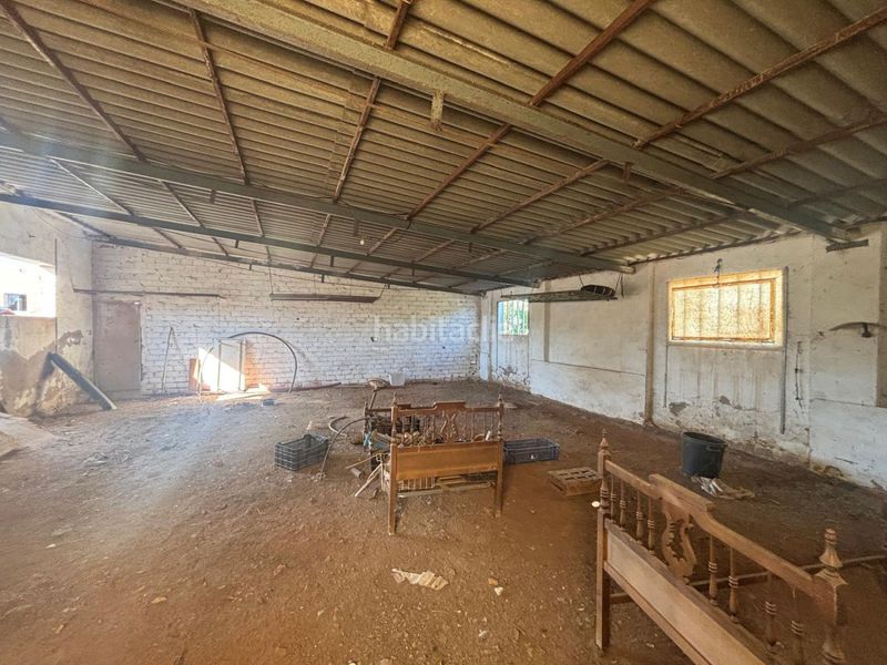 Foto 6f9e21ef-bba9-4c7f-bc7e-44372ba87e80. Fabrikhalle in Fuente el Fresno