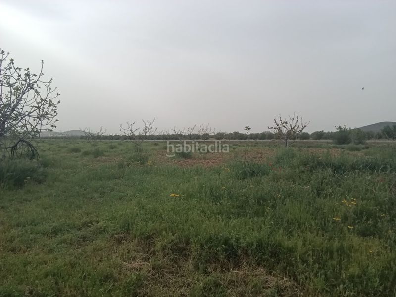 Foto 09b3bb18-c988-4cd8-ac62-2ab816d64dcc. Masia a Fuente el Fresno
