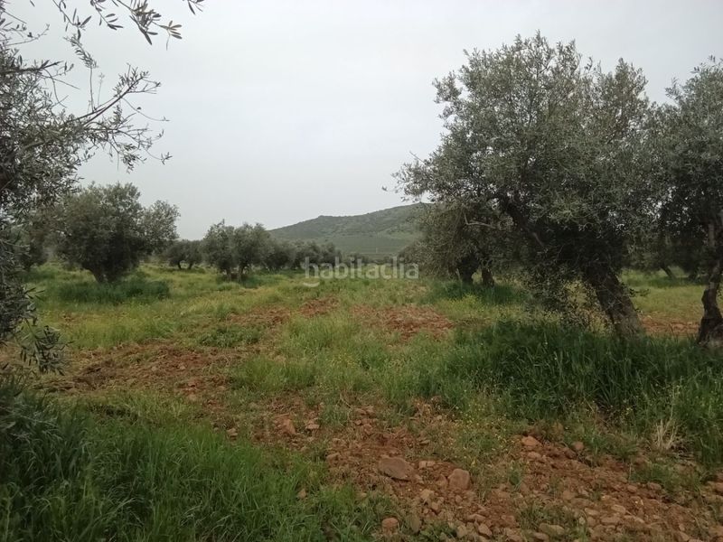 Foto 58fc7b11-e371-4745-a507-cfd0b3f2ab7f. Masia a Fuente el Fresno