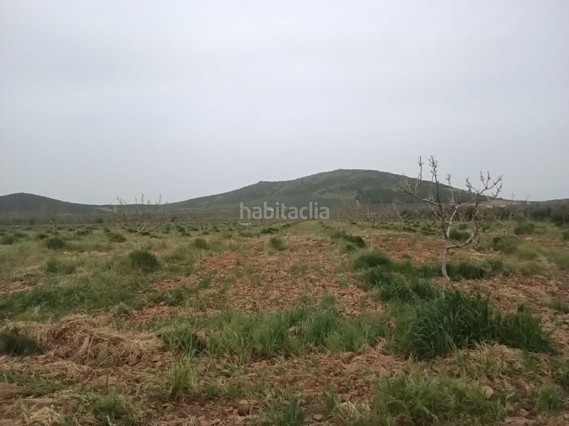 Foto d161fe82-c671-4319-8b89-9a6d45d843c7. Masia a Fuente el Fresno