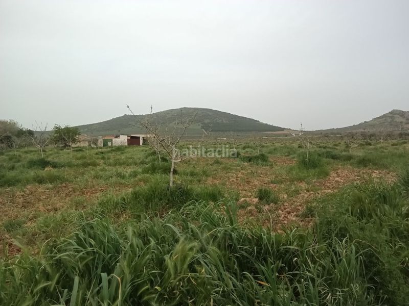 Foto e234233c-5ca4-4f85-83d2-9762401f689f. Masia a Fuente el Fresno