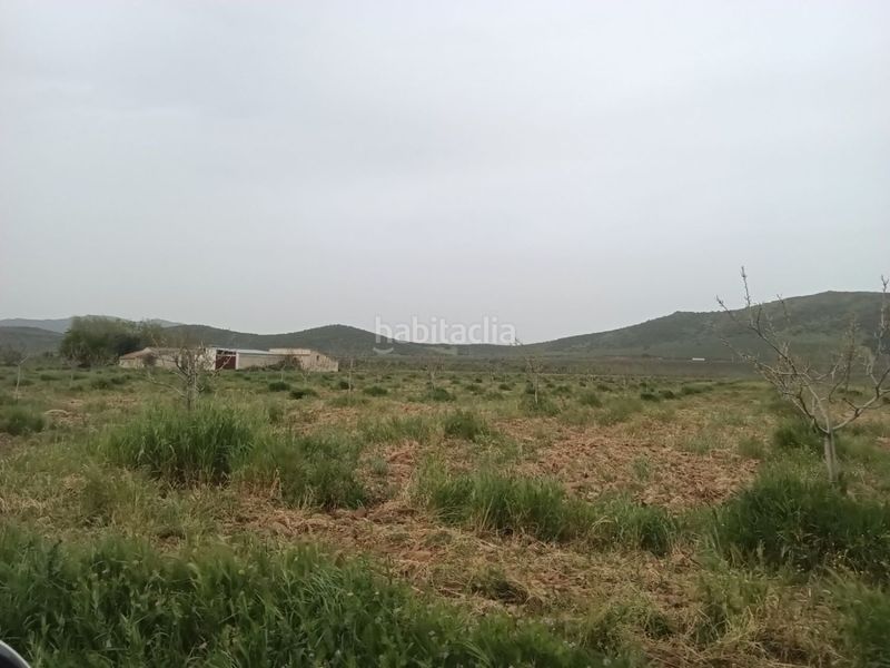 Foto f8b42890-981a-4d8b-9e61-fe40df2b6517. Masia a Fuente el Fresno