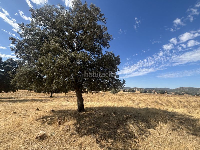 Foto 071d0bd6-3b40-4c9b-ace4-a5945c0b5072. Casale in Orgaz