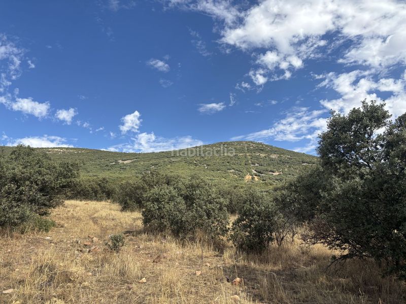 Foto 25ce4448-323a-41da-8402-4b359fa44995. Casale in Orgaz