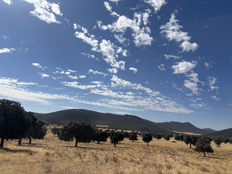 Foto 6a840220-aa40-406c-9c92-3c682c234df5. Casale in Orgaz