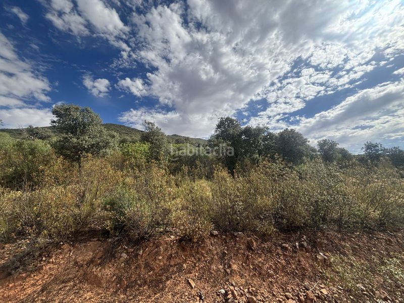 Foto 71751d97-9084-4a34-b661-b6308f471f73. Casale in Orgaz