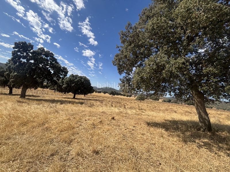 Foto 794be2ee-8fcf-46c1-87da-057f093f8799. Casale in Orgaz
