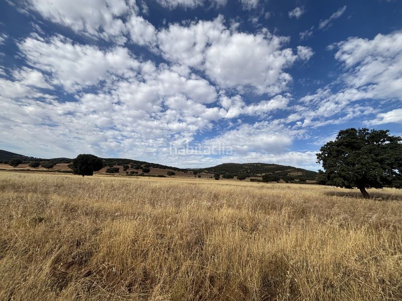 Foto b92e90dc-1197-4f3b-b6d4-7c161a420992. Casale in Orgaz