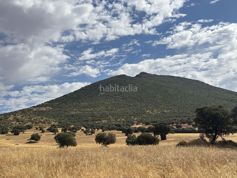 Foto b9bf1b96-020a-472b-ab81-278bbab0eea8. Casale in Orgaz