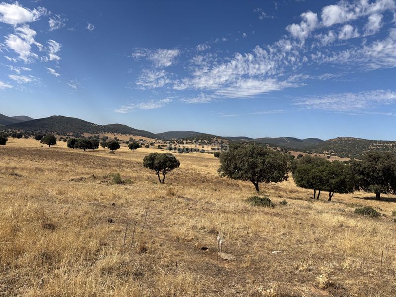 Foto cc86ba83-6179-4332-bddc-2db9ea5d7af8. Casale in Orgaz