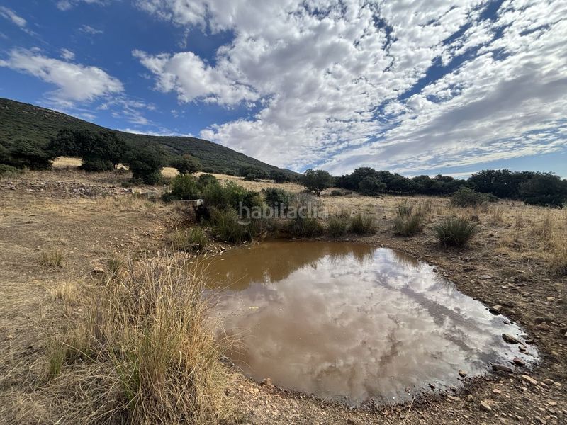 Foto dff12556-d2e8-43a9-b2f9-f373cf54c21c. Casale in Orgaz