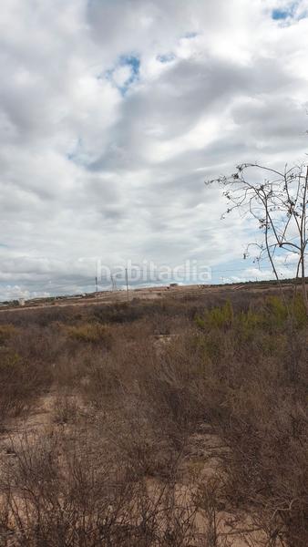 Foto 19687f70-a6b3-4b27-ab16-374f741d7894. Fondo rustico in Perleta - Maitino Elche / Elx