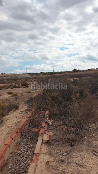 Foto 21f7de61-556e-41b3-ae56-f908e5d600e4. Fondo rustico in Perleta - Maitino Elche / Elx