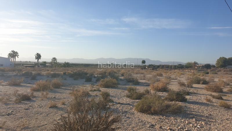 Foto 546074f4-7039-4c05-82b9-81104e120fce. Fondo rustico in Perleta - Maitino Elche / Elx
