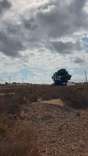 Foto 5c68ad61-4fff-4146-a81d-4b003b6973b6. Fondo rustico in Perleta - Maitino Elche / Elx