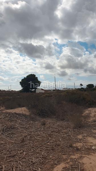 Foto d723d60a-886b-4e0f-8945-fb184e536378. Fondo rustico in Perleta - Maitino Elche / Elx
