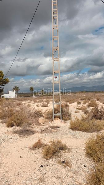 Foto 6e9cbb36-e272-4357-bb93-830539e03623. Finca rústica a Perleta - Maitino Elche / Elx