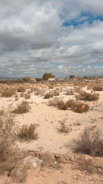 Foto 734868b9-01c3-4565-a940-492e31c08151. Finca rústica a Perleta - Maitino Elche / Elx