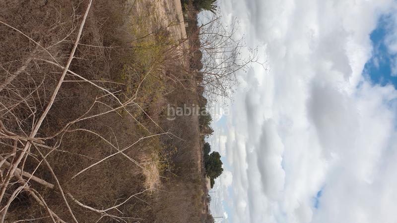 Foto 833fb453-81c5-40ef-83c7-12dbb5b0375c. Finca rústica a Perleta - Maitino Elche / Elx