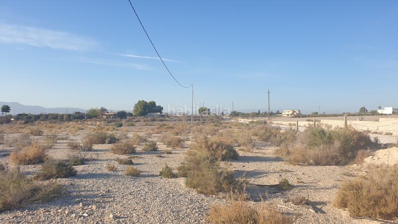 Foto 28dab141-a5b9-4bfa-a364-1a9ad7ce8855. Finca rústica en Perleta - Maitino Elche / Elx