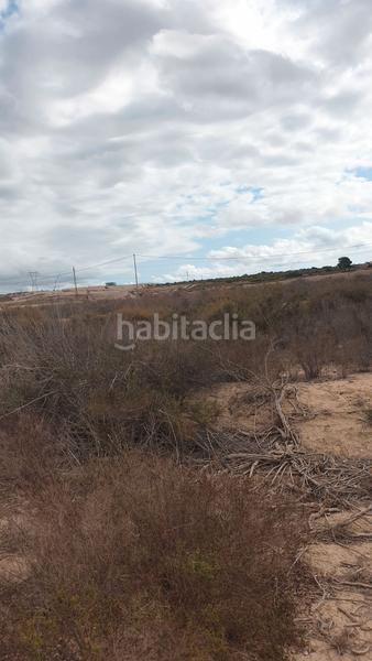 Foto 658faa3d-5eb6-4151-8e91-71ed6da19707. Finca rústica en Perleta - Maitino Elche / Elx