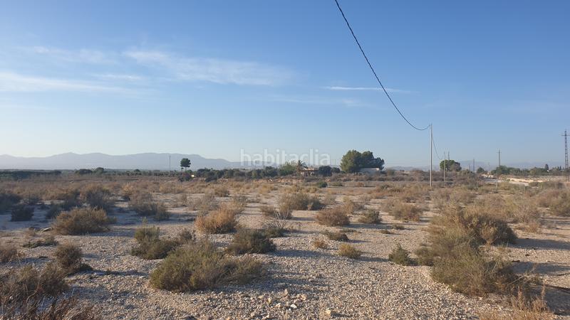 Foto 8ebad7e7-ba75-4edc-8b98-487c675a81ed. Finca rústica en Perleta - Maitino Elche / Elx