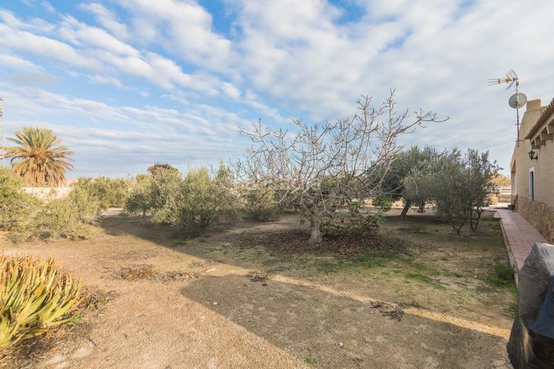 Foto a24ac60f-811c-4af5-a247-dce8fc2f6c01. Chalet en baya-alta 46 en Las Bayas Elche / Elx