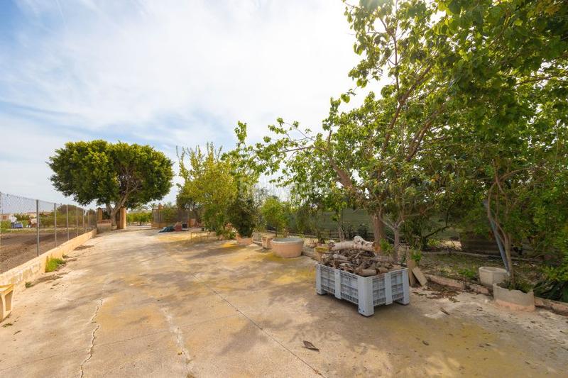 Foto a5d7da1d-6a0a-4384-b003-6c6e4086158e. Chalet en calle diseminado 75 en Almansa