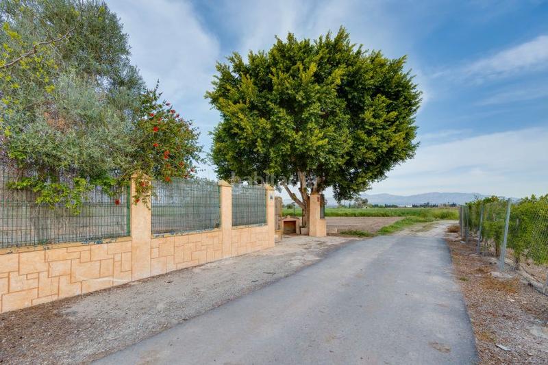 Foto e4882be5-3bf2-4170-8cf2-203ab31d535c. Chalet en calle diseminado 75 en Almansa