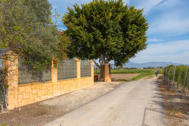 Foto d2741850-d35e-438f-a0ae-a7fe63b54f14. Chalet dans calle diseminado 75 dans Almansa