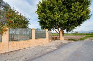 Chalet in Calle diseminado 75