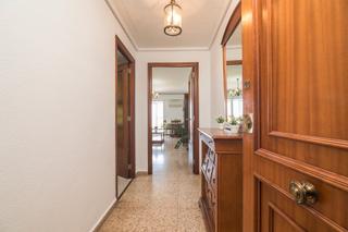 Appartement à Avinguda portus ? - licitanus 61