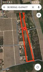 Rural plot in Partida daimes 1