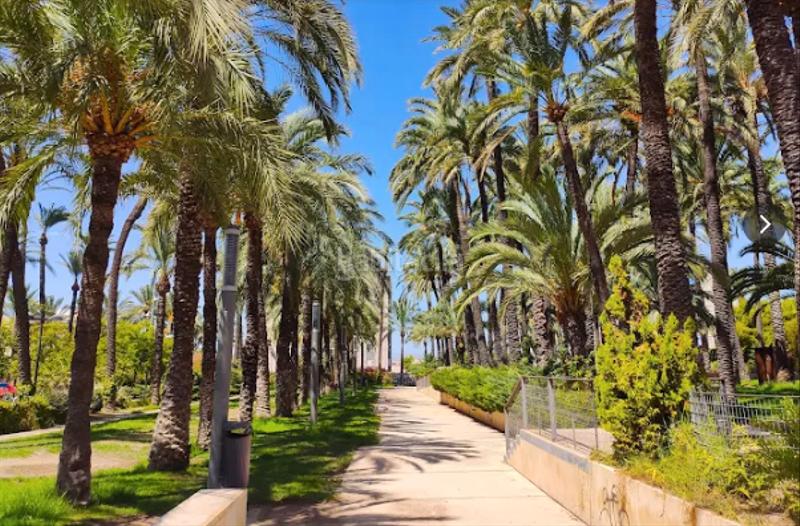 Foto 47303d6c-97db-453d-a0f7-6663c143dbca. Alquiler piso en Centro Santa Pola