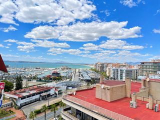 Pis a Calle fernando pérez ojeda 17. Descubre esta espectacular vivienda en santa pola