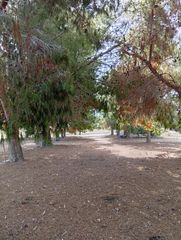Finca rústica  Carretera puebla rocamora 1. Parcela rústica de 13.125 m² en daya nueva