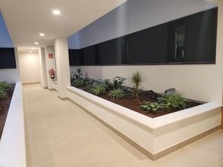 Lloguer Pis a Tamaraceite. Estrena vivienda junto a los alisios