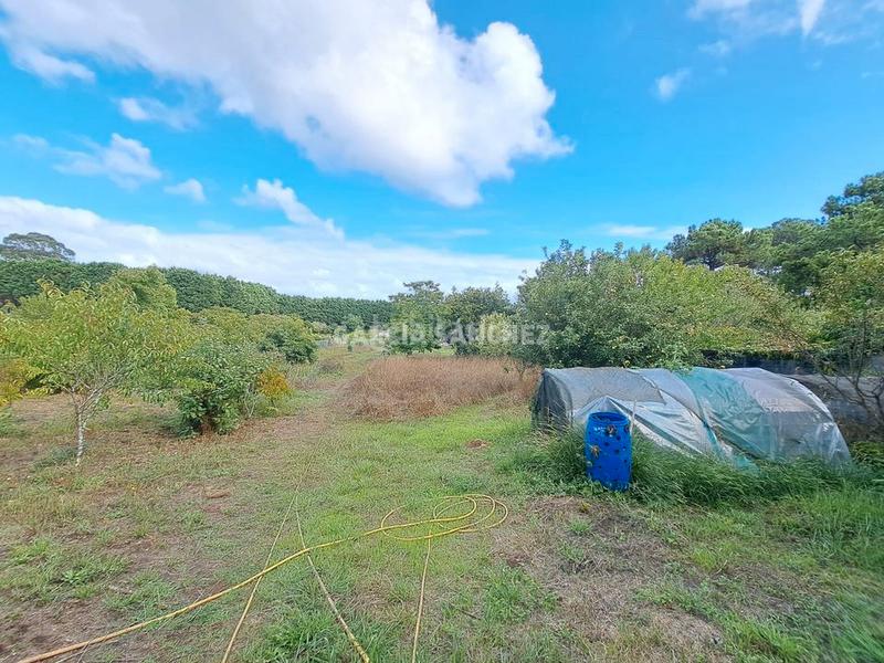 Foto 2d749be6-ffb2-4090-9a09-b0a0b1627ab6. Casa a rua chazo 31 a Boiro