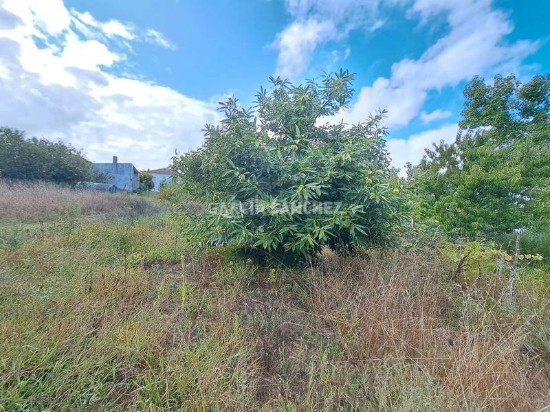 Foto 40423a10-450a-439f-9bb8-ee091739abb4. Casa a rua chazo 31 a Boiro