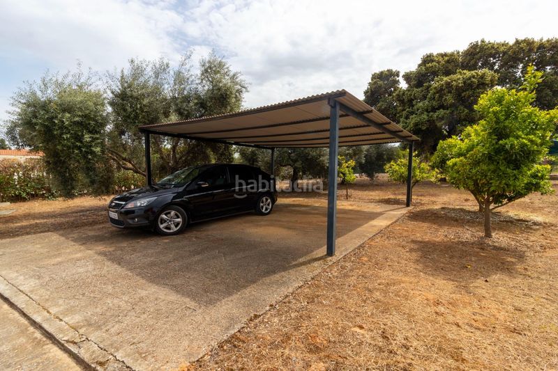 Foto 2ce38448-cceb-407b-a212-ddcb10b13a6e. Casa a avenida avenida campomanes 37 a Dehesilla de Calamón - Campomanes Badajoz